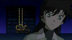 The Shadow of the Black Organization (The Strange Illumination)