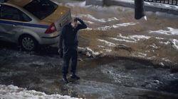 Голова профессора Штерна Голова профессора Штерна