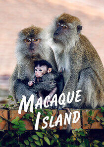 Macaque Island