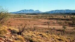 Arid Heart Arid Heart