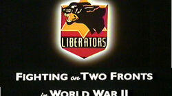 Liberators: Fighting on Two Fronts in World War II Liberators: Fighting on Two Fronts in World War II