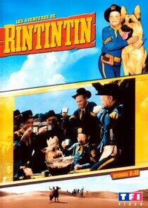 The Adventures of Rin Tin Tin - Season 1 The Adventures of Rin Tin Tin - Season 1