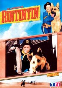The Adventures of Rin Tin Tin - Season 2 The Adventures of Rin Tin Tin - Season 2