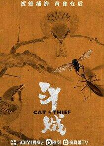 Cat & Thief Cat & Thief