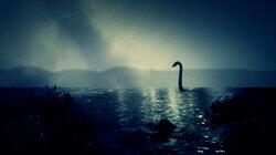 Sea Creatures