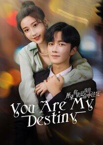 You Are My Destiny You Are My Destiny