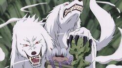 Roar and Howl! The Ultimate Tag Team Roar and Howl! The Ultimate Tag Team