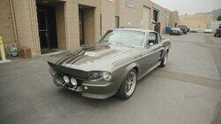 Mustang's Gone Wild Mustang's Gone Wild