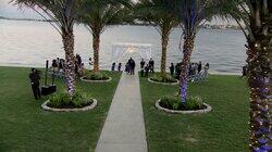 Monie Gets Married: Wedding Bells and Farewells