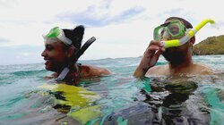 Honeymoons Honeymoons