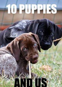 10 Puppies and Us 10 Puppies and Us