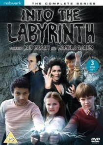 Into the Labyrinth Into the Labyrinth