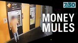 Money Rules Money Rules