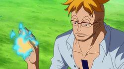Marco! The Keeper of Whitebeard's Last Memento! Marco! The Keeper of Whitebeard's Last Memento!