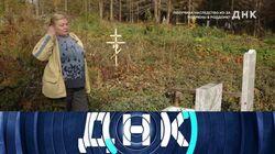 Выпуск 444. Получила наследство из-за подмены в роддоме? Выпуск 444. Получила наследство из-за подмены в роддоме?
