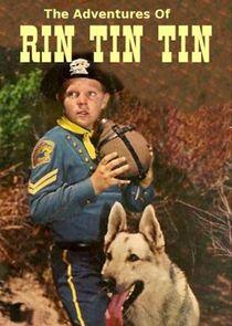 The Adventures of Rin Tin Tin The Adventures of Rin Tin Tin