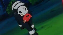 Hour of the Houndour Hour of the Houndour