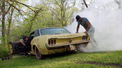 Swamp-Stang Swamp-Stang