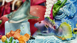 Under the Sea Under the Sea