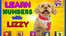 Learn Numbers with Lizzy the Dog Learn Numbers with Lizzy the Dog