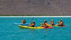 Paddles Away!