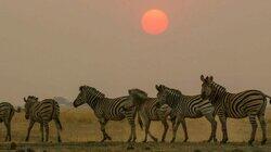 Africa Africa