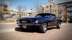 Mustang Man Mustang Man