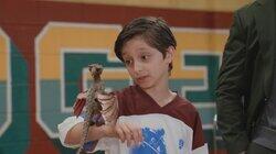 Don't Go Changeling My Heart