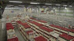 Seasonal Flyers Seasonal Flyers