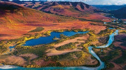 Alaska's Call of the Wild Alaska's Call of the Wild